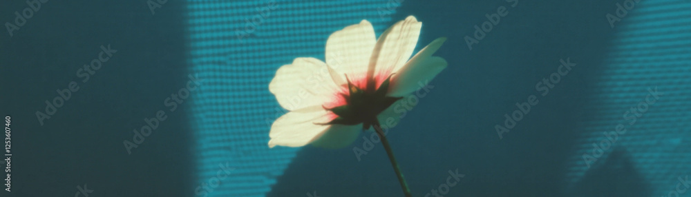 Poster flower silhouette casting a shadow on a textured surface with halftone effect