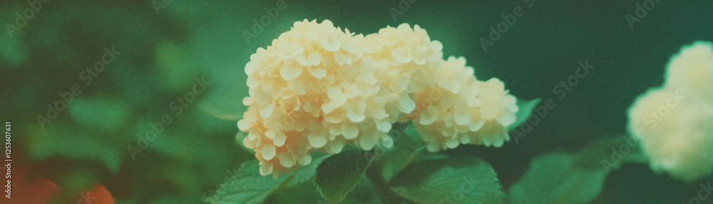 Aufkleber dense cluster of small flowers creates an elegant bloom with halftone texture
