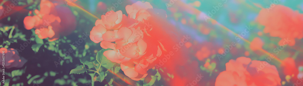 Poster dense cluster of small flowers creating a blooming floral display on a grunge background