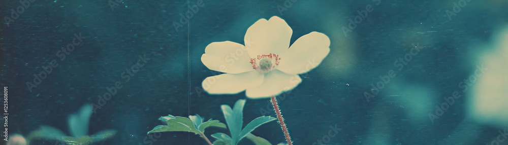 Poster flower with delicate leaves against a textured background showing halftone visuals