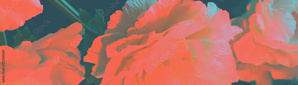 Poster unique flower with jagged petal edges displayed against a textured grunge backdrop