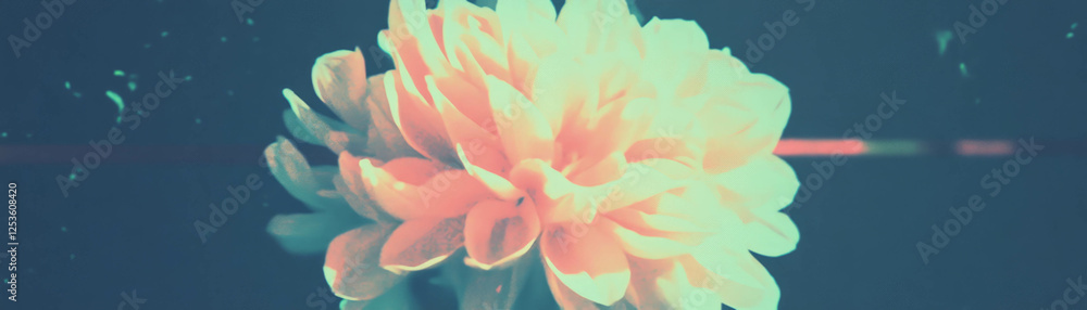Poster Halftone texture of a vibrant flower with multiple layers against a grunge background