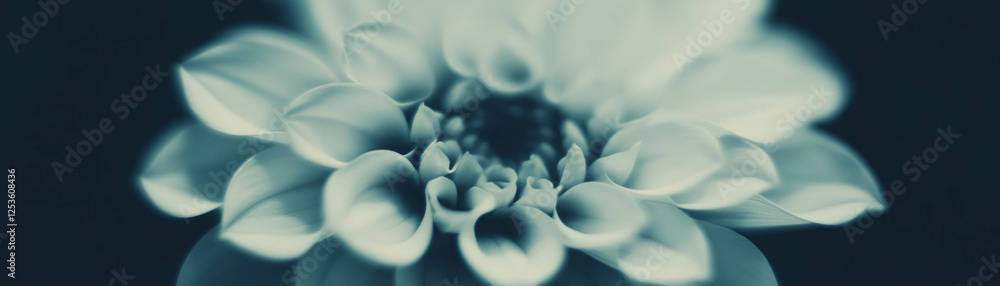 Poster Halftone texture of a spiral-patterned flower with a grunge background