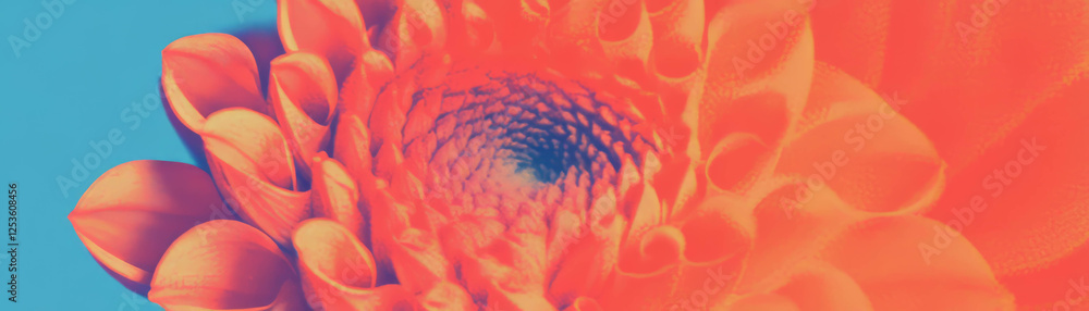 Poster spiral arrangement of petals in vibrant colors with halftone texture on textured backdrop