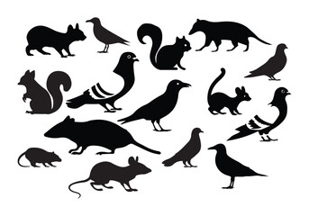 A sleek, modern silhouette vector design on a white background featuring urban animals pigeon, squirrel, raccoon, stray cat, rat, crow, seagull, and opossum. The animals are arranged