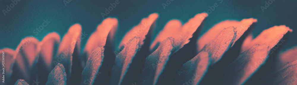 Poster detailed halftone texture of an open pine cone with a grunge background in soft focus