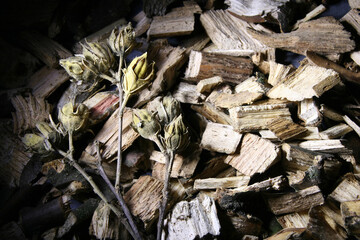 Horizontal wood background made of wood chips decorated with dried flowers. There is a place to insert text.