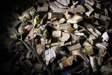 Horizontal wood background made of wood chips decorated with dried flowers. There is a place to insert text.