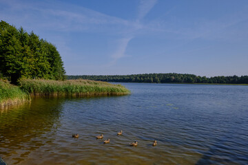 Goldap Lake in summer hot day
