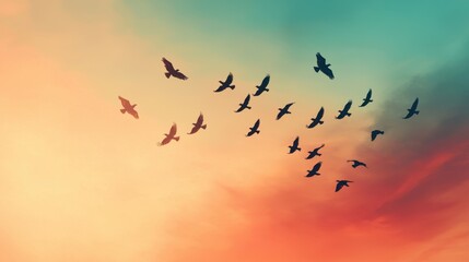Fototapeta premium Flock of Birds Flying Against a Colorful Twilight Sky