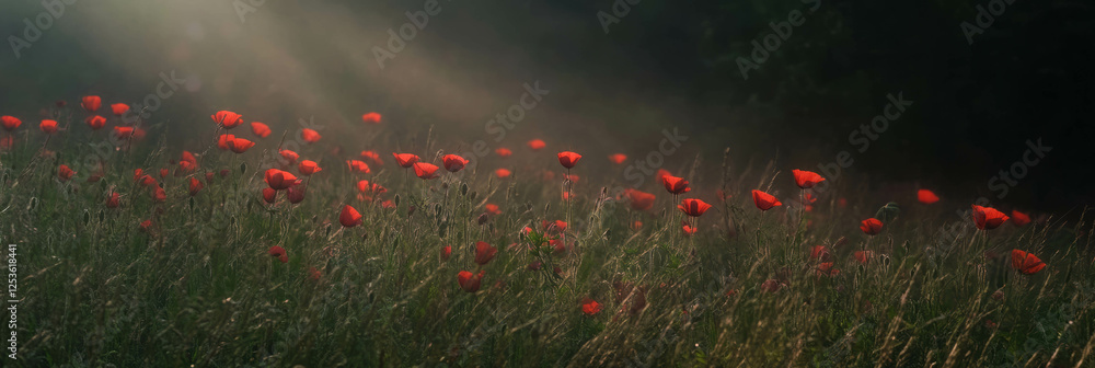 Poster scarlet rays illuminate a field of wildflowers at dusk creating a serene atmosphere