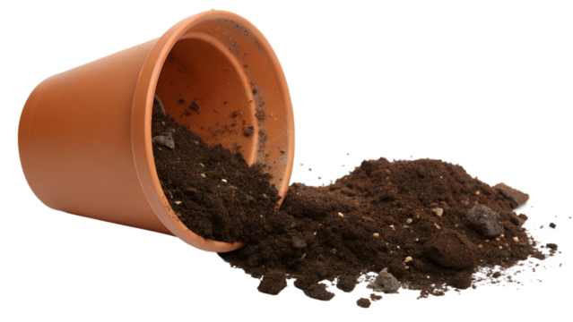 Flower Pot Spilling Dirt PNG – Isolated Transparent Background