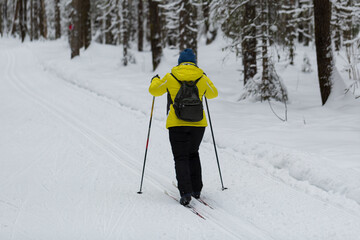 Cross-country skiing.A skier goes skiing in winter on a ski run.