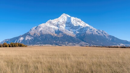 Fototapeta premium Snowy Mountain Over Golden Field