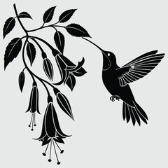 a hummingbird feeding on a flower silhouette vector design art and illustration