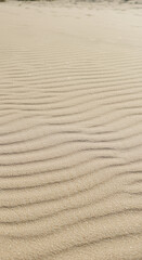Obraz premium Sandscape Serenity: Captivating Waves of Golden Sand, Beach Textures, & Natural Desert Beauty