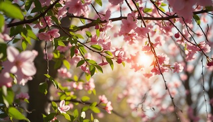 A Dreamy Spring Landscape with Vibrant Colors and Soft Natural Lighting