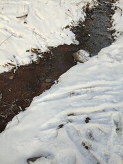 a stream in a snowy forest