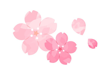 桜の花びら水彩風イラスト02