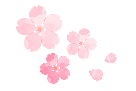 桜の花びら水彩風イラスト01