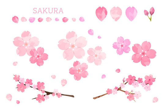 桜の花びら水彩風イラスト素材セット