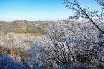 brina sui boschi nelle colline parmensi in una mattina d'inverno
