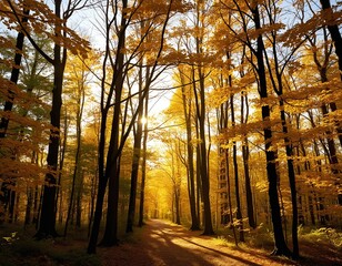 A tranquil woodland bathed in golden sunlight during autumn.