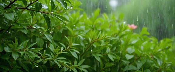 Gentle Raindrops Enriching Vibrant Spring Foliage