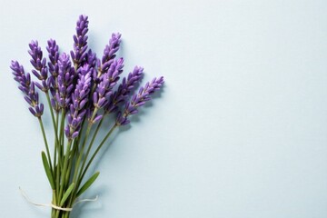 Fototapeta premium A delicate bunch of lavender blossoms rests against a pale blue background, creating a serene and calming image perfect for relaxation or aromatherapy promotions.