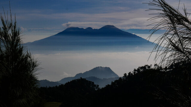 Silhouette View of Mount Arjuno and Welirang with a sea of ​​clouds and thin mist below. The green trees in the foreground provide a natural contrast to the bright blue sky.