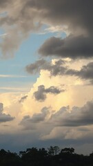 Fototapeta premium Beige cloudy sky with dark brown stormy clouds and black trees on the horizon, dark, summer