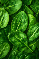 Fototapeta premium Vibrant Green Spinach Displaying Natural Freshness