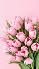 Obraz premium Delicate pink tulips in a lush bouquet on a soft pink background, spring flowers, pastel colors, bouquet