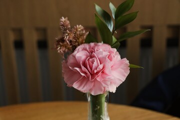Pink flowers in glass vase. Still life of flowers