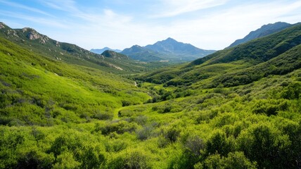 Fototapeta premium Scenic green valley with distant mountains and blue sky on sunny day