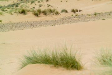 Sand dunes in Is Arenas, Torre dei Corsari. Costa Verde Oristano, Sardinia. Iralia