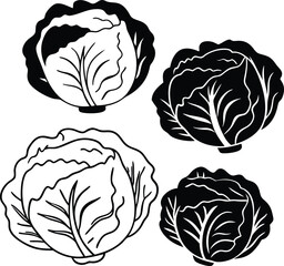 A cabbage head in a minimalist style. Vector illustration of a vegetable, isolated on a white background 