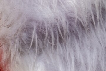 Close up of white fluffy fur showing soft texture