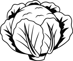 A cabbage head in a minimalist style. Vector illustration of a vegetable, isolated on a white background 
