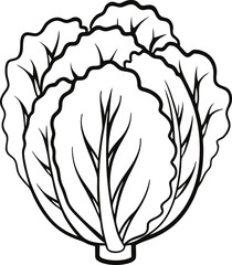 A cabbage head in a minimalist style. Vector illustration of a vegetable, isolated on a white background 