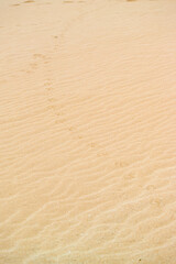 Sand dunes in Is Arenas, Torre dei Corsari. Costa Verde Oristano, Sardinia. Iralia