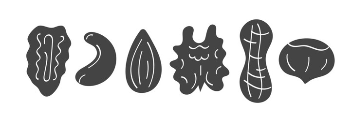 Hand drawn nuts illustration. Doodle forms in black on white background
