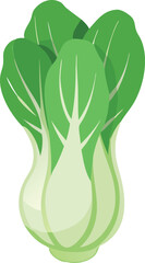 Bok choy cabbage vector illustration in cartoon flat style isolated on white background 