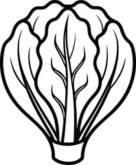 Bok choy cabbage vector illustration in cartoon flat style isolated on white background 