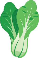 Bok choy cabbage vector illustration in cartoon flat style isolated on white background 