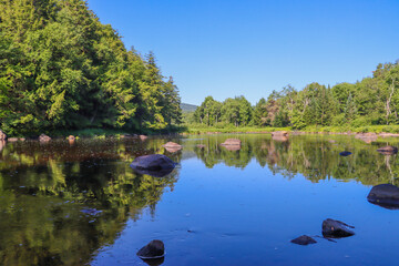 reflection of trees in lake