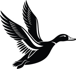 Obraz premium A beautiful flying Mallard Duck vector art, Mallard Duck silhouette vector illustration, Mallard Duck line art vector icon design
