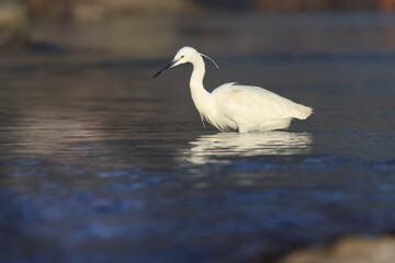 lasciatemi pescare in pace