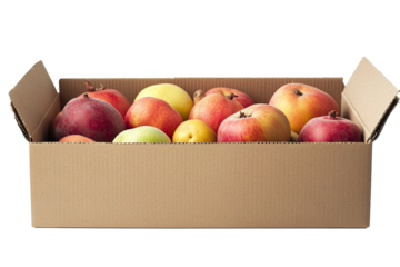 Cardboard box with food vegetables and fruits in a cardboard box food delivery and food bank concept