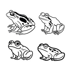 Frog line art drawing illustration